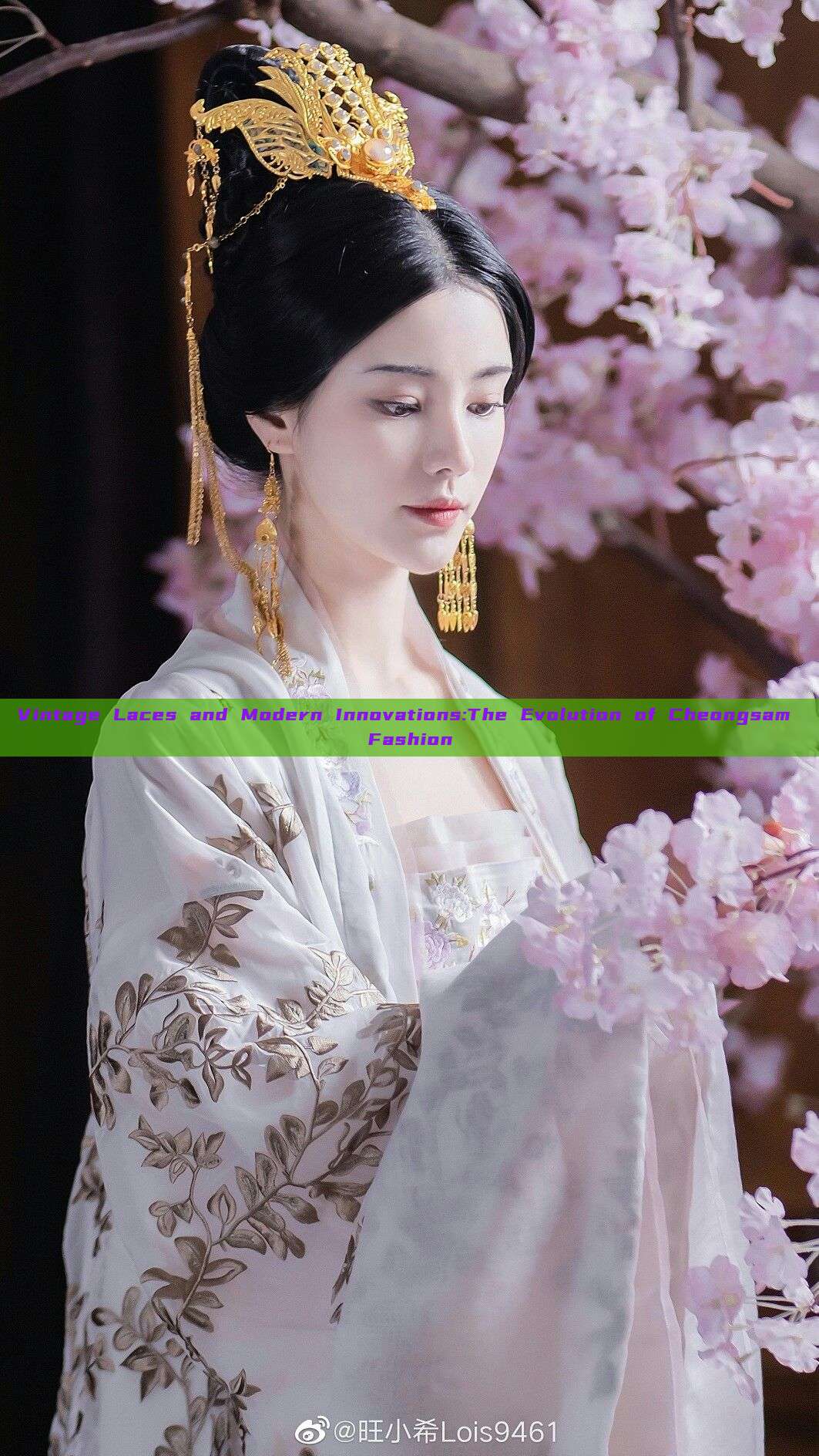 Vintage Laces and Modern Innovations:The Evolution of Cheongsam Fashion