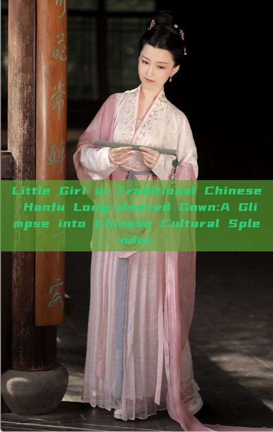 Little Girl in Traditional Chinese Hanfu Long-sleeved Gown:A Glimpse into Chinese Cultural Splendor Little Girl in Traditional Chinese Hanfu Long-sleeved Gown:A Glimpse into Chinese Cultural Splendor