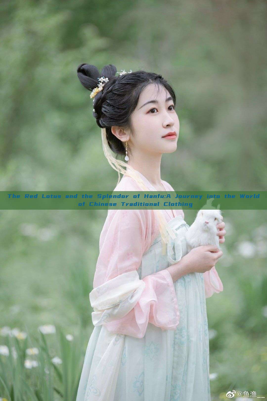 The Red Lotus and the Splendor of Hanfu:A Journey into the World of Chinese Traditional Clothing The Red Lotus and the Splendor of Hanfu:A Journey into the World of Chinese Traditional Clothing
