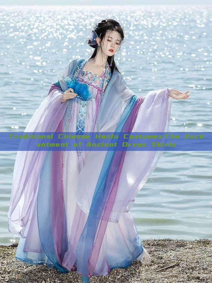 Traditional Chinese Hanfu Costumes:The Enchantment of Ancient Dress Skirts