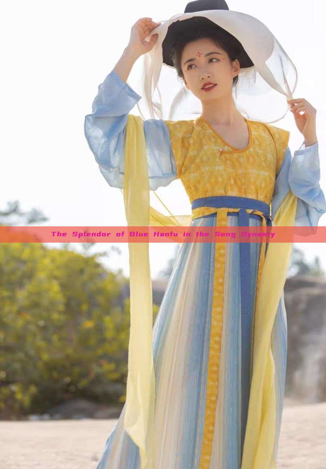 The Splendor of Blue Hanfu in the Song Dynasty The Splendor of Blue Hanfu in the Song Dynasty