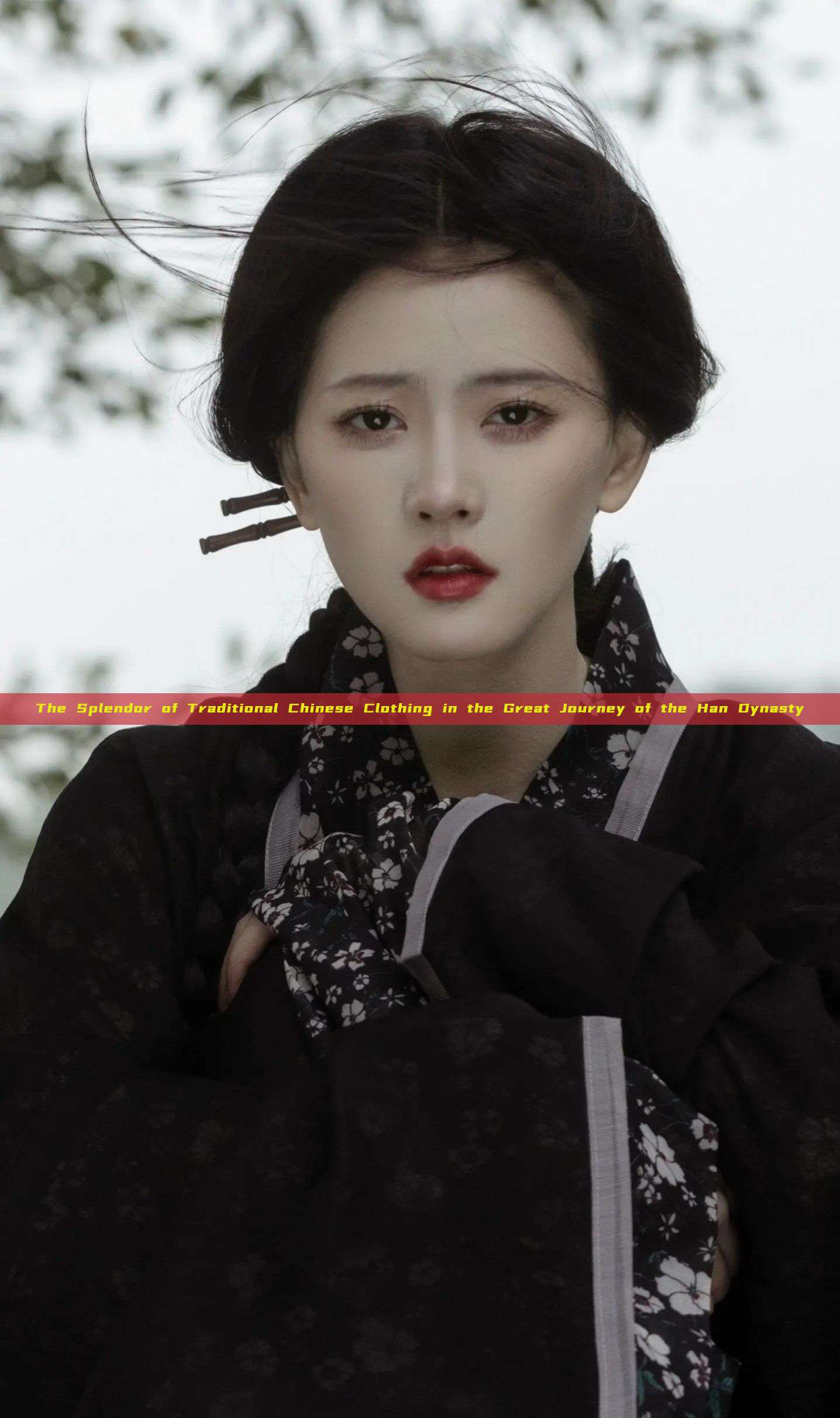 The Splendor of Traditional Chinese Clothing in the Great Journey of the Han Dynasty