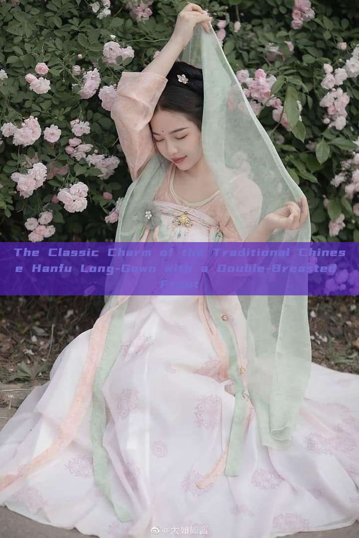 The Classic Charm of the Traditional Chinese Hanfu Long-Gown with a Double-Breasted Front The Classic Charm of the Traditional Chinese Hanfu Long-Gown with a Double-Breasted Front