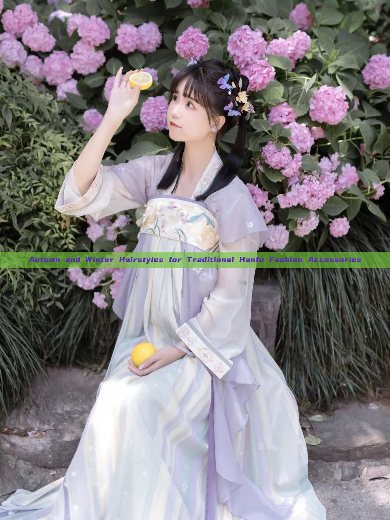 Autumn and Winter Hairstyles for Traditional Hanfu Fashion Accessories
