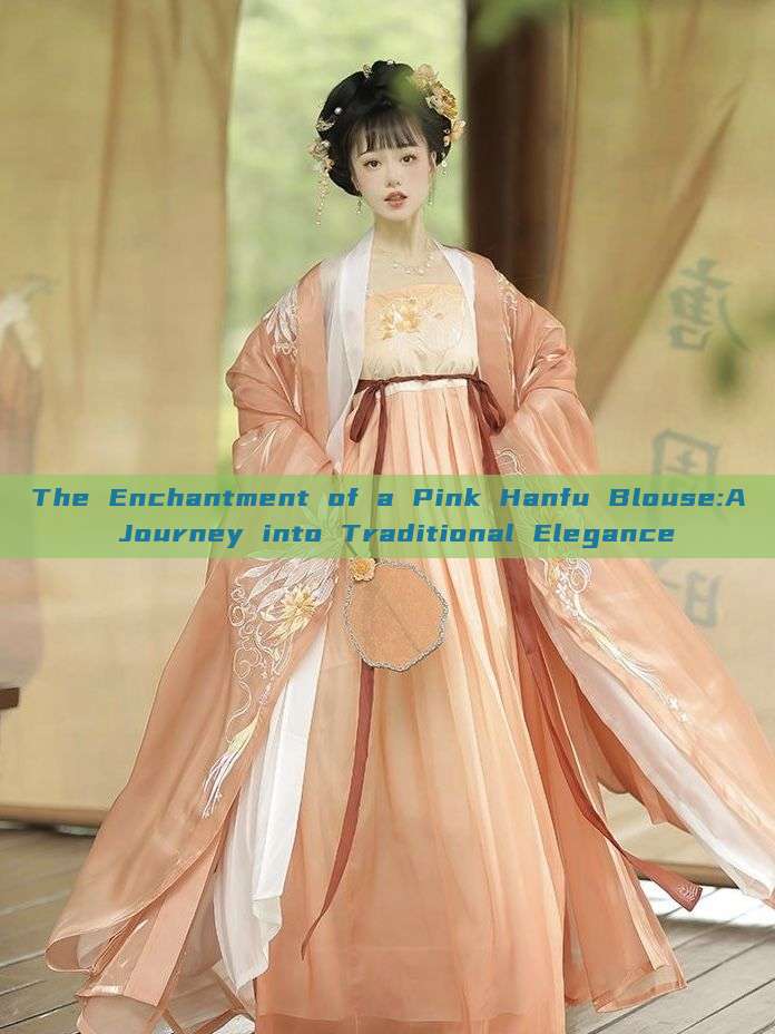 The Enchantment of a Pink Hanfu Blouse:A Journey into Traditional Elegance The Enchantment of a Pink Hanfu Blouse:A Journey into Traditional Elegance