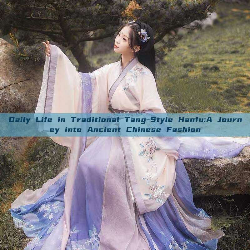 Daily Life in Traditional Tang-Style Hanfu:A Journey into Ancient Chinese Fashion Daily Life in Traditional Tang-Style Hanfu:A Journey into Ancient Chinese Fashion