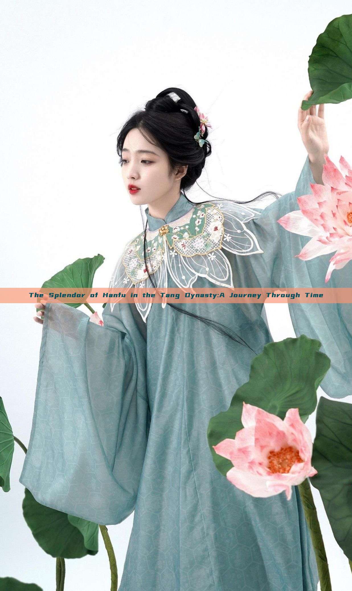 The Splendor of Hanfu in the Tang Dynasty:A Journey Through Time The Splendor of Hanfu in the Tang Dynasty:A Journey Through Time