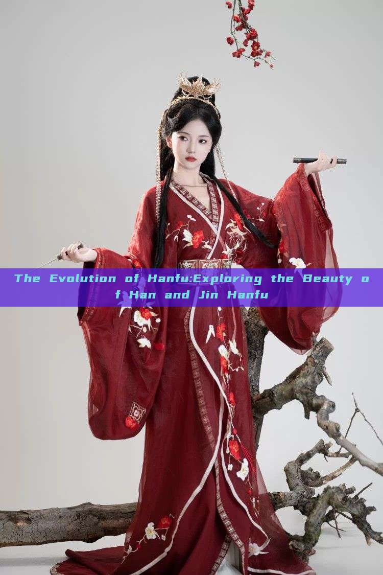 The Evolution of Hanfu:Exploring the Beauty of Han and Jin Hanfu