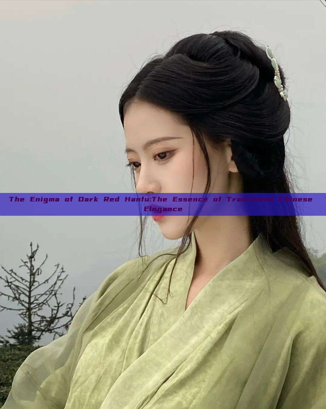 The Enigma of Dark Red Hanfu:The Essence of Traditional Chinese Elegance