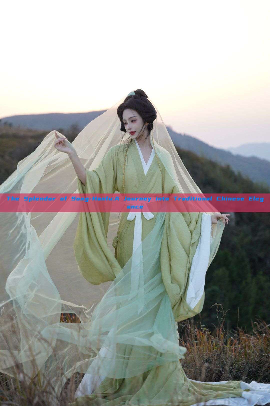 The Splendor of Song-Hanfu:A Journey into Traditional Chinese Elegance The Splendor of Song-Hanfu:A Journey into Traditional Chinese Elegance