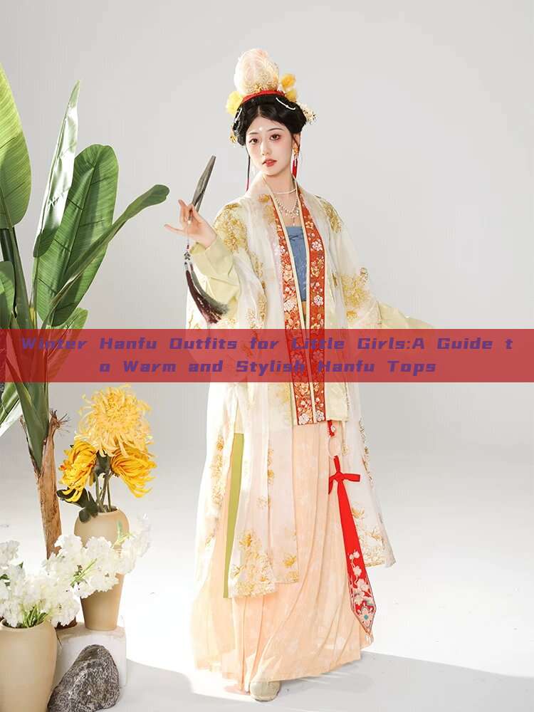 Winter Hanfu Outfits for Little Girls:A Guide to Warm and Stylish Hanfu Tops