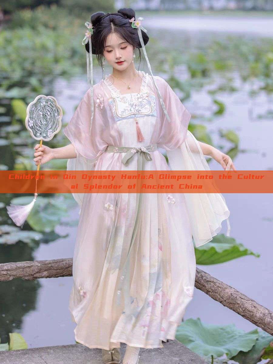 Children in Qin Dynasty Hanfu:A Glimpse into the Cultural Splendor of Ancient China