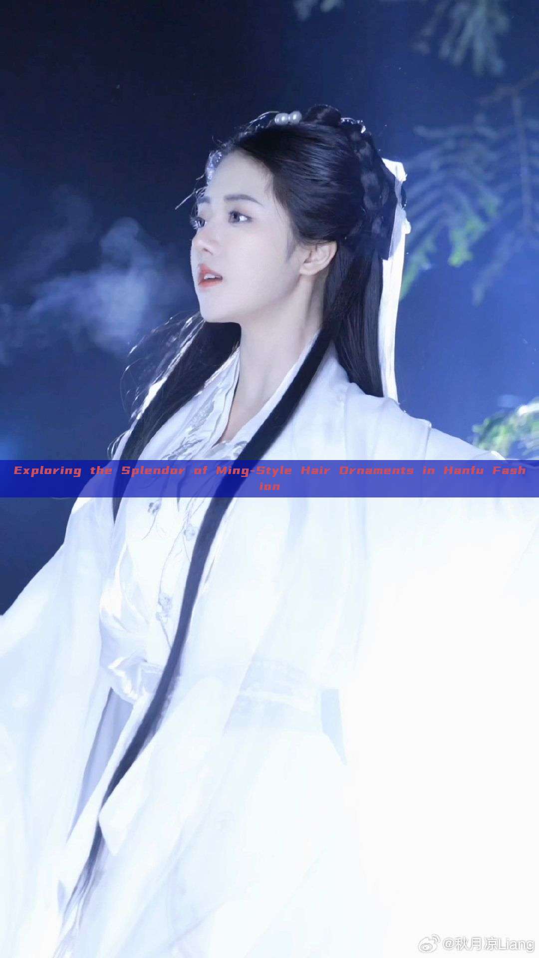 Exploring the Splendor of Ming-Style Hair Ornaments in Hanfu Fashion Exploring the Splendor of Ming-Style Hair Ornaments in Hanfu Fashion