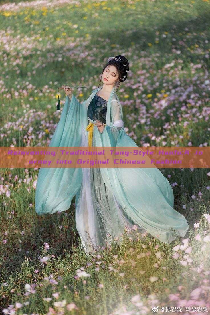 Reinventing Traditional Tang-Style Hanfu:A Journey into Original Chinese Fashion Reinventing Traditional Tang-Style Hanfu:A Journey into Original Chinese Fashion
