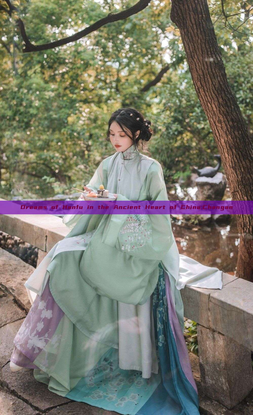 Dreams of Hanfu in the Ancient Heart of China:Changan Dreams of Hanfu in the Ancient Heart of China:Changan