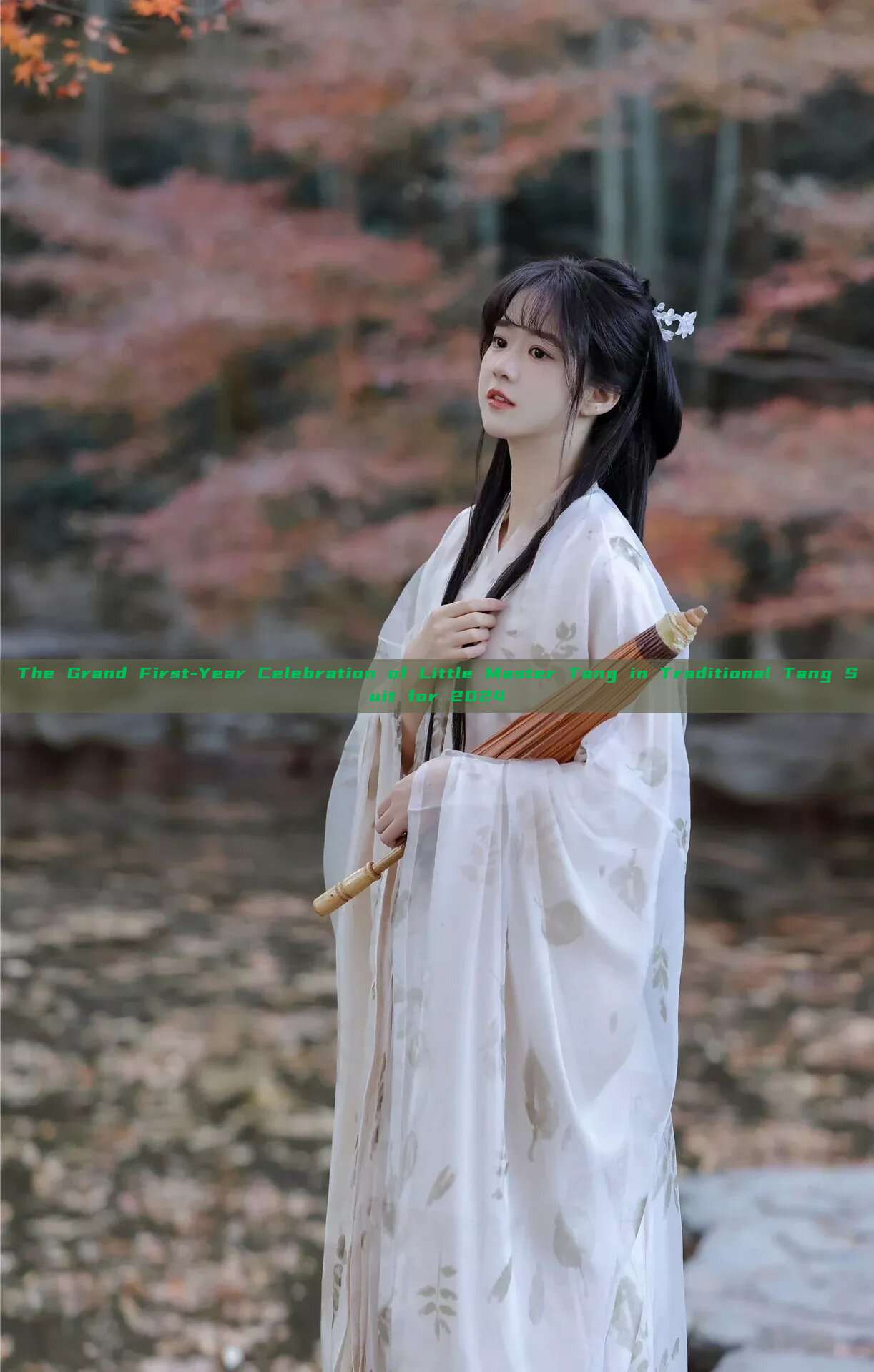 The Grand First-Year Celebration of Little Master Tang in Traditional Tang Suit for 2024 The Grand First-Year Celebration of Little Master Tang in Traditional Tang Suit for 2024