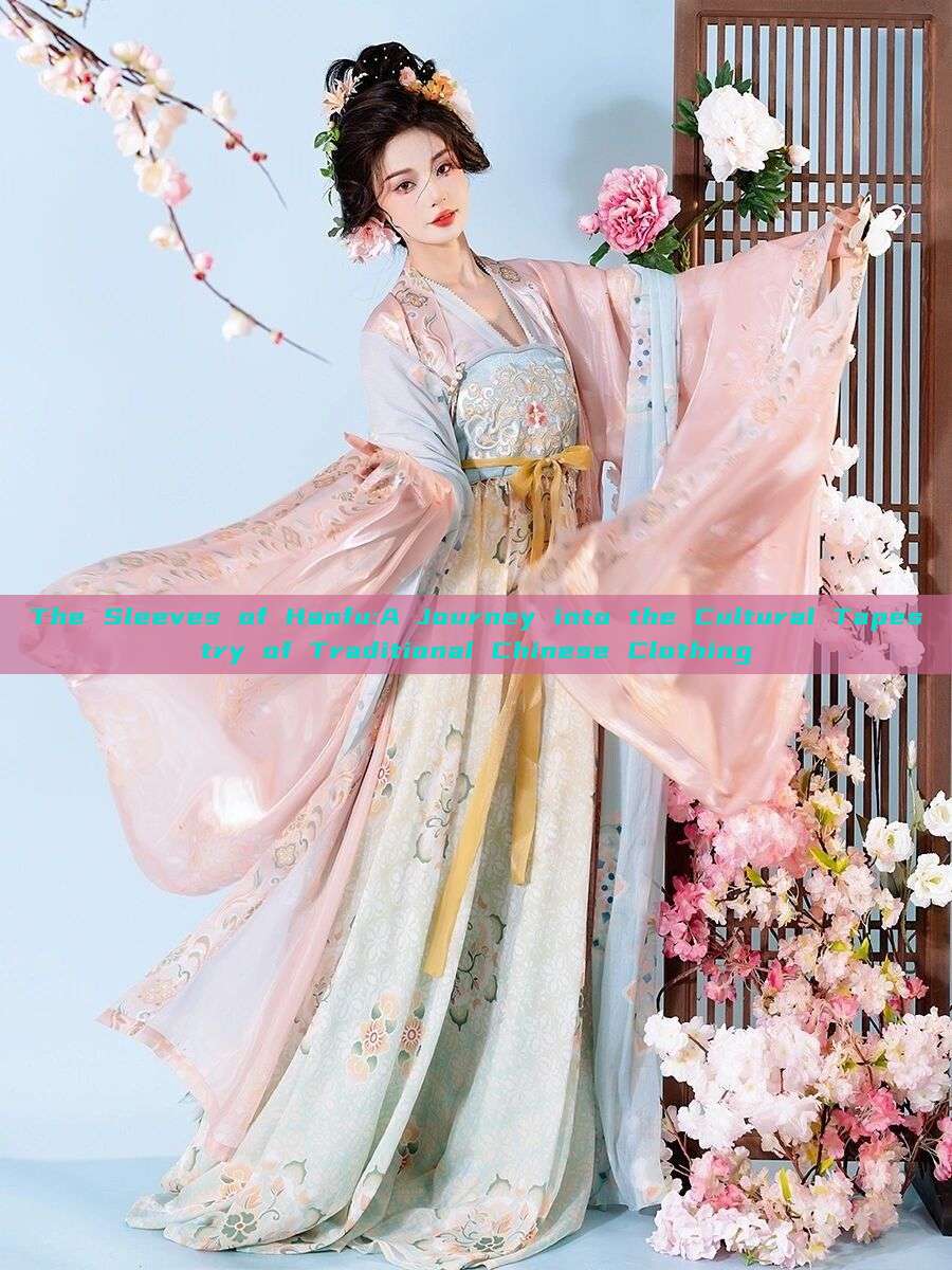 The Sleeves of Hanfu:A Journey into the Cultural Tapestry of Traditional Chinese Clothing The Sleeves of Hanfu:A Journey into the Cultural Tapestry of Traditional Chinese Clothing