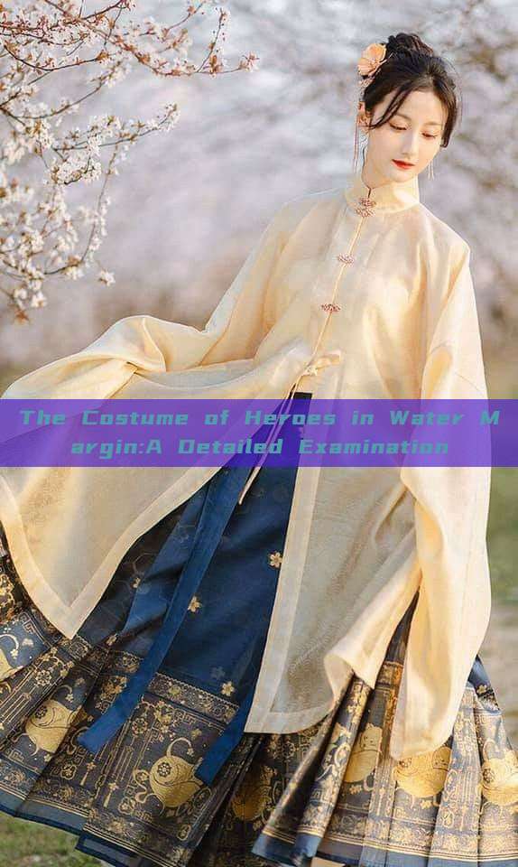 The Costume of Heroes in Water Margin:A Detailed Examination