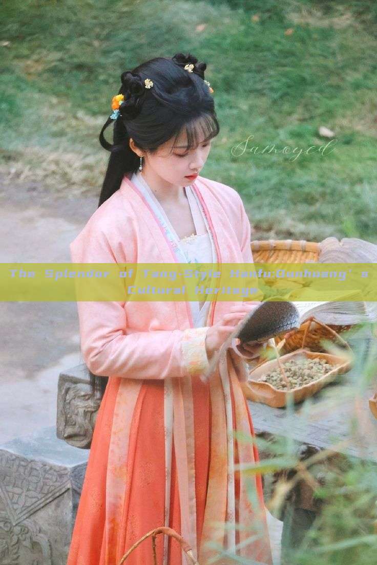 The Splendor of Tang-Style Hanfu:Dunhuang’s Cultural Heritage The Splendor of Tang-Style Hanfu:Dunhuang’s Cultural Heritage
