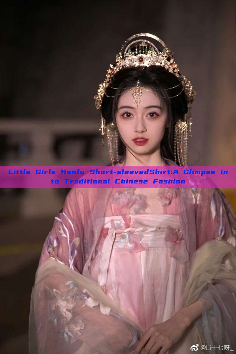 Little Girls Hanfu Short-sleevedShirt:A Glimpse into Traditional Chinese Fashion