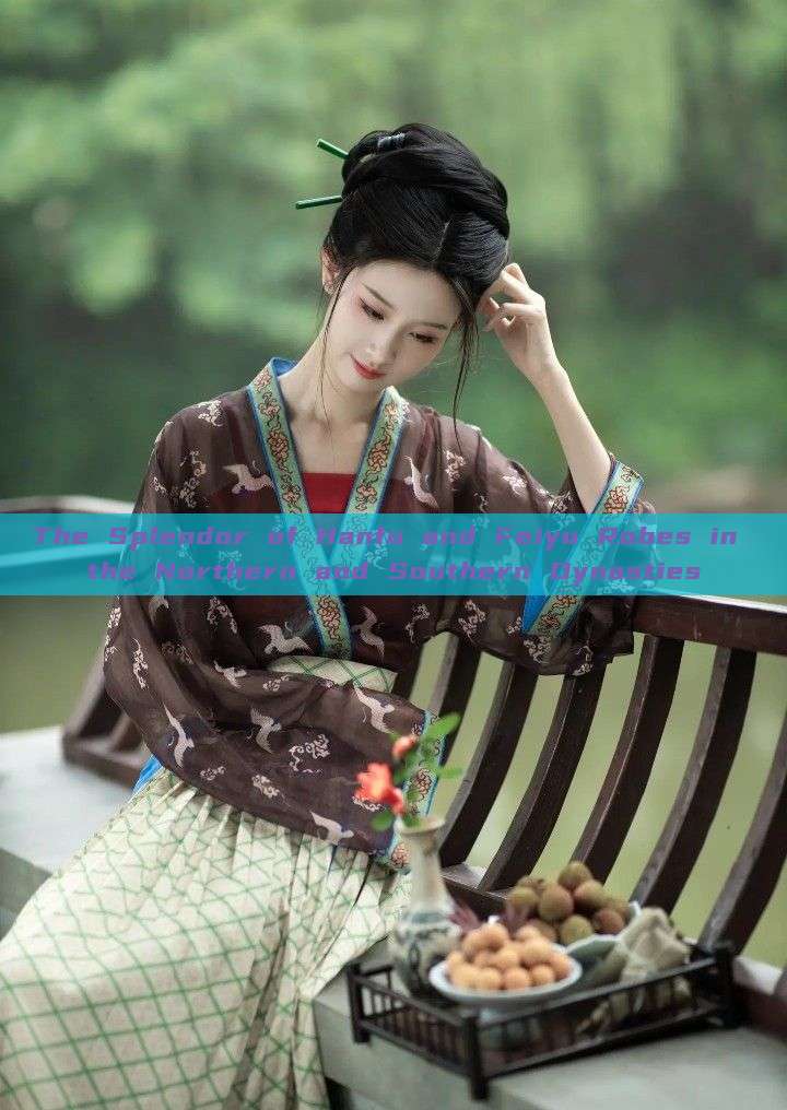 The Splendor of Hanfu and Feiyu Robes in the Northern and Southern Dynasties