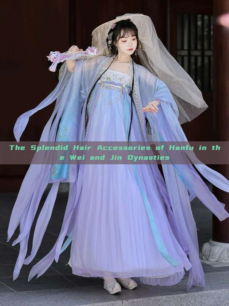 The Splendid Hair Accessories of Hanfu in the Wei and Jin Dynasties The Splendid Hair Accessories of Hanfu in the Wei and Jin Dynasties