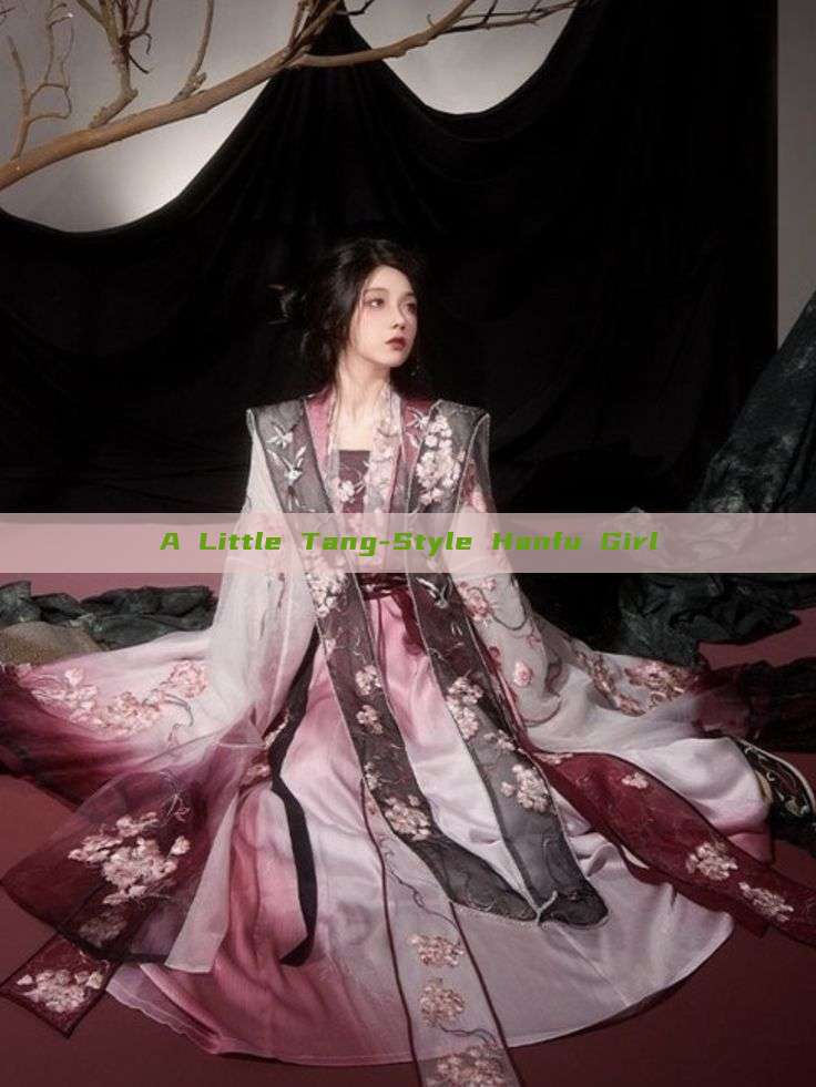 A Little Tang-Style Hanfu Girl A Little Tang-Style Hanfu Girl