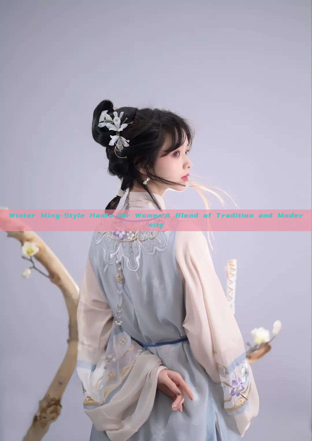 Winter Ming-Style Hanfu for Women:A Blend of Tradition and Modernity Winter Ming-Style Hanfu for Women:A Blend of Tradition and Modernity