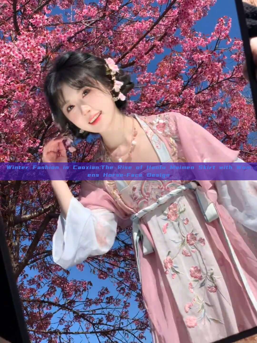 Winter Fashion in Caoxian:The Rise of Hanfu Maimen Skirt with Womens Horse-Face Design Winter Fashion in Caoxian:The Rise of Hanfu Maimen Skirt with Womens Horse-Face Design