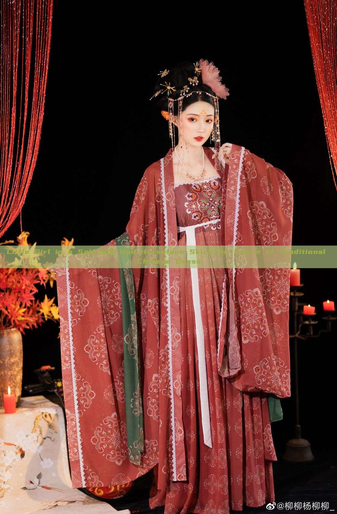 Little Girl in a Splendid Half-Horseface Skirt:The Charm of Traditional Chinese Dress