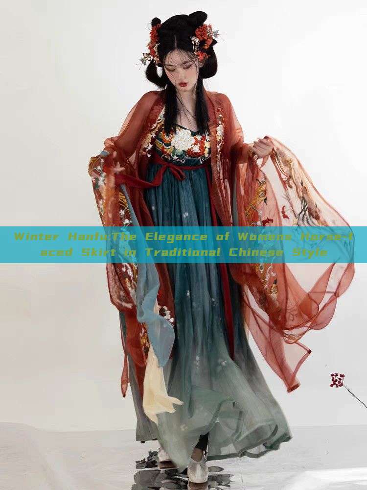 Winter Hanfu:The Elegance of Womens Horse-faced Skirt in Traditional Chinese Style Winter Hanfu:The Elegance of Womens Horse-faced Skirt in Traditional Chinese Style