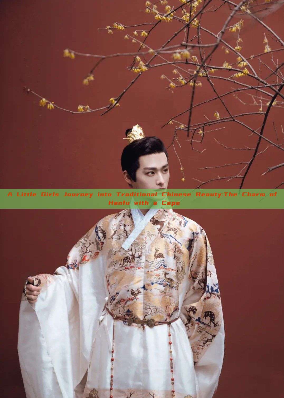 A Little Girls Journey into Traditional Chinese Beauty:The Charm of Hanfu with a Cape A Little Girls Journey into Traditional Chinese Beauty:The Charm of Hanfu with a Cape