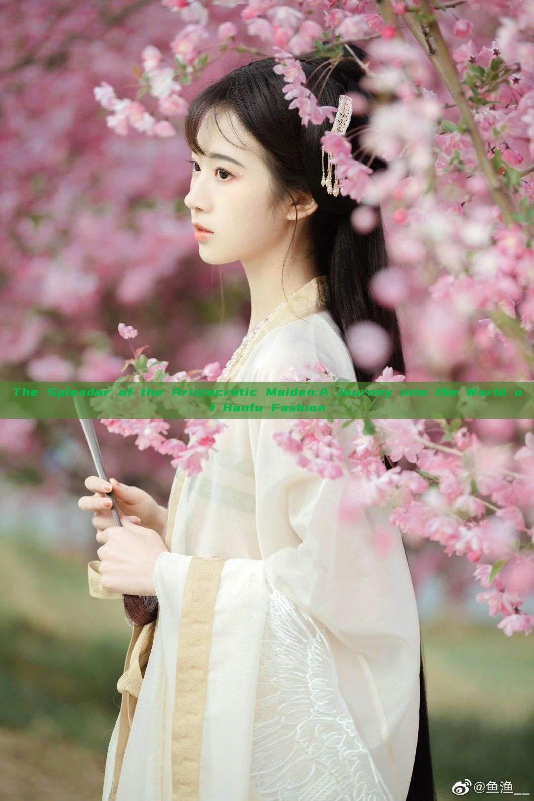 The Splendor of the Aristocratic Maiden:A Journey into the World of Hanfu Fashion The Splendor of the Aristocratic Maiden:A Journey into the World of Hanfu Fashion