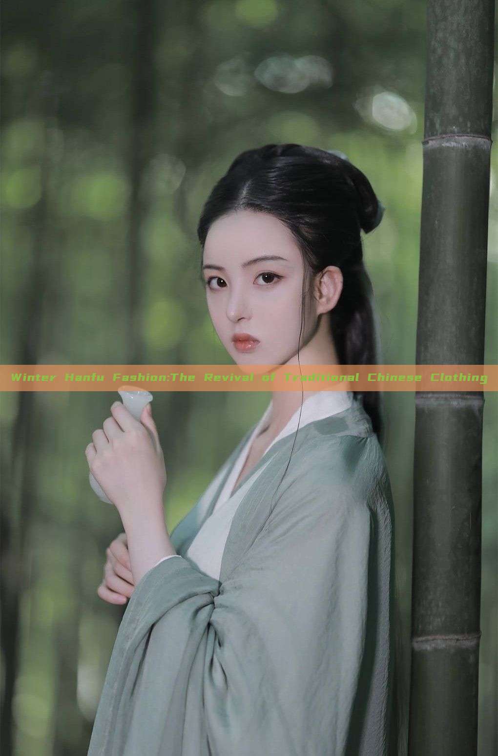 Winter Hanfu Fashion:The Revival of Traditional Chinese Clothing Winter Hanfu Fashion:The Revival of Traditional Chinese Clothing