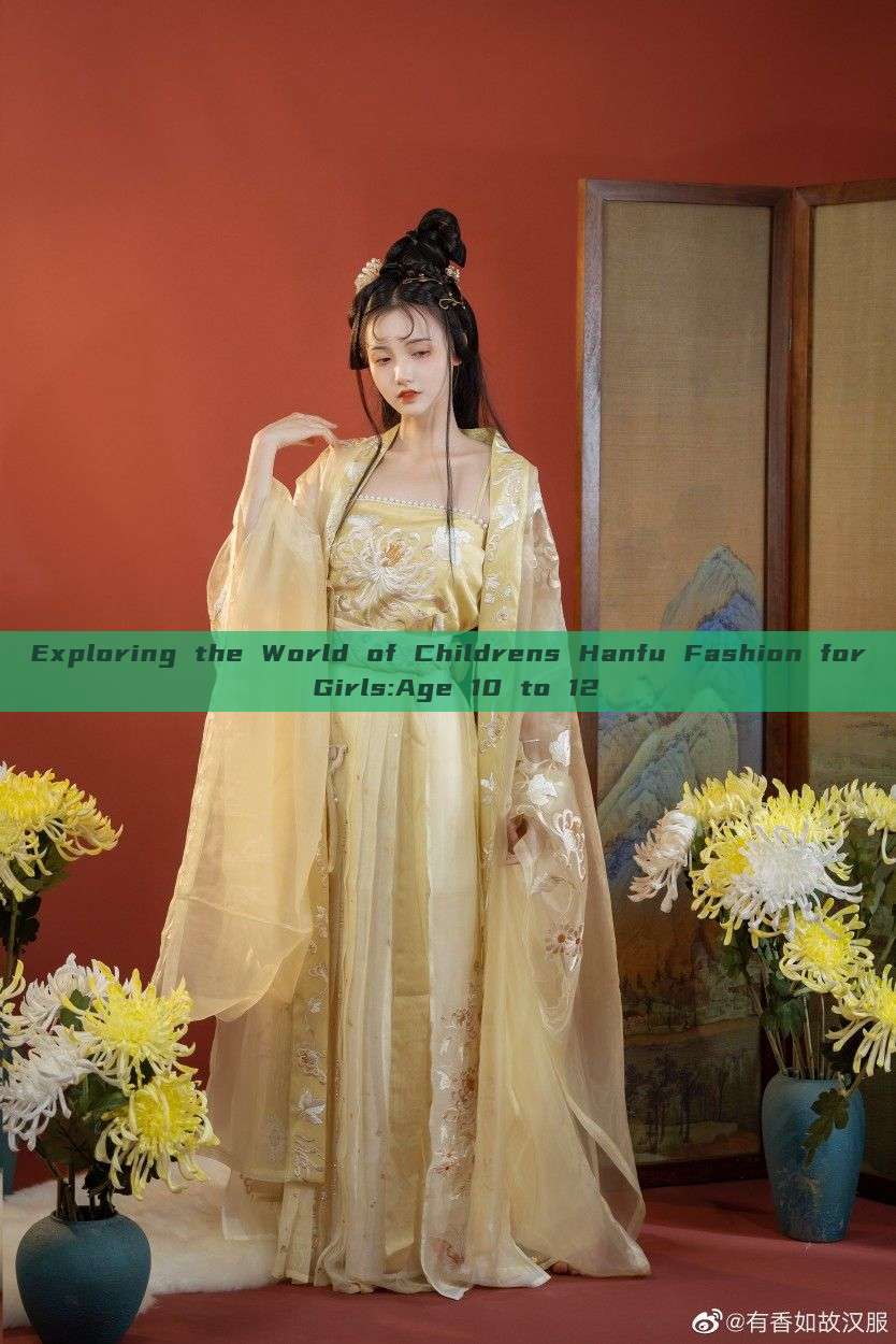 Exploring the World of Childrens Hanfu Fashion for Girls:Age 10 to 12 Exploring the World of Childrens Hanfu Fashion for Girls:Age 10 to 12