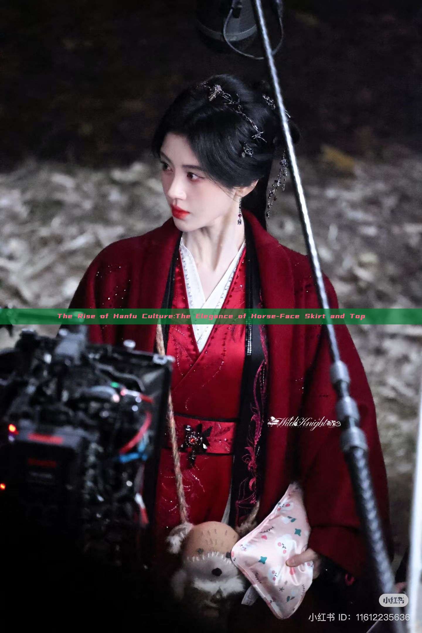 The Rise of Hanfu Culture:The Elegance of Horse-Face Skirt and Top The Rise of Hanfu Culture:The Elegance of Horse-Face Skirt and Top