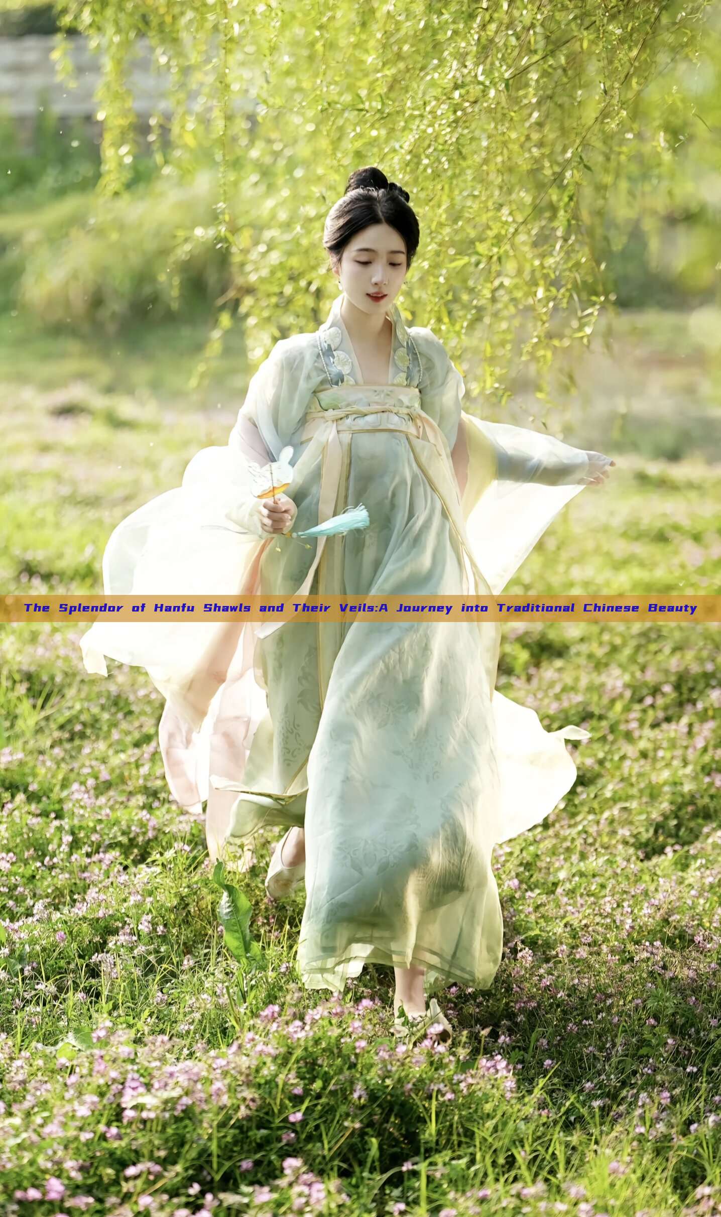 The Splendor of Hanfu Shawls and Their Veils:A Journey into Traditional Chinese Beauty The Splendor of Hanfu Shawls and Their Veils:A Journey into Traditional Chinese Beauty