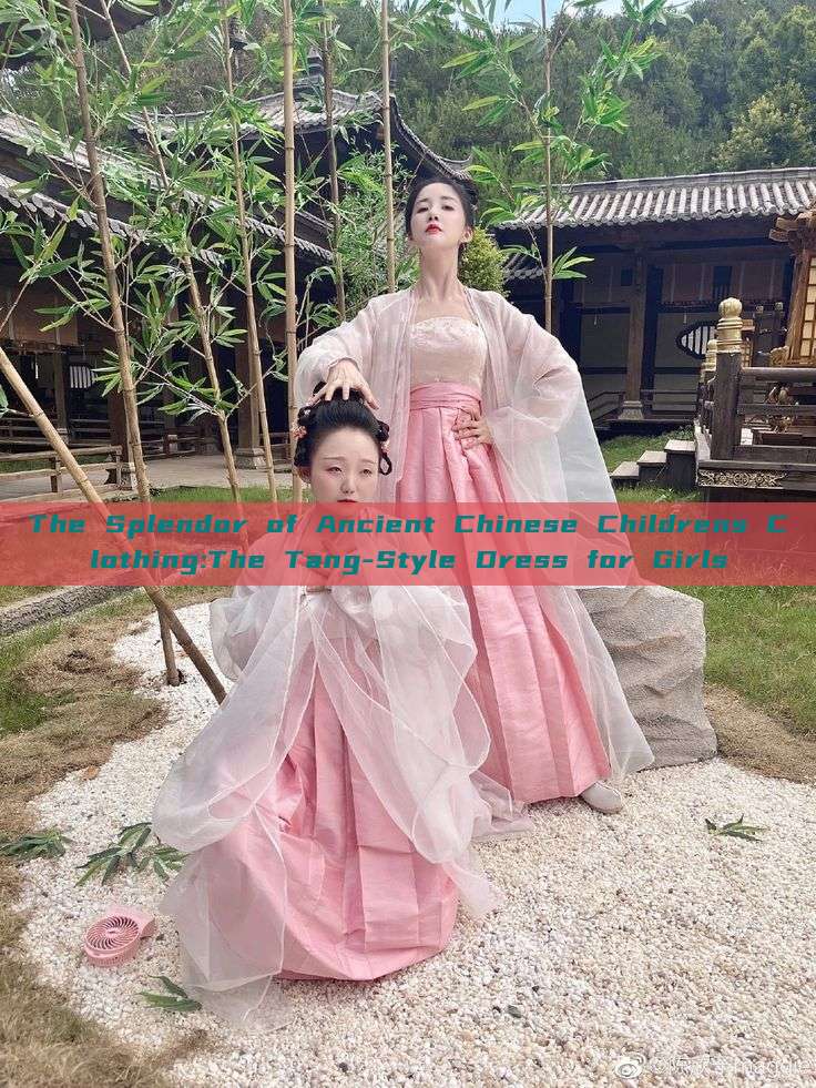 The Splendor of Ancient Chinese Childrens Clothing:The Tang-Style Dress for Girls