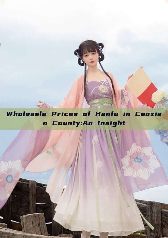 Wholesale Prices of Hanfu in Caoxian County:An Insight