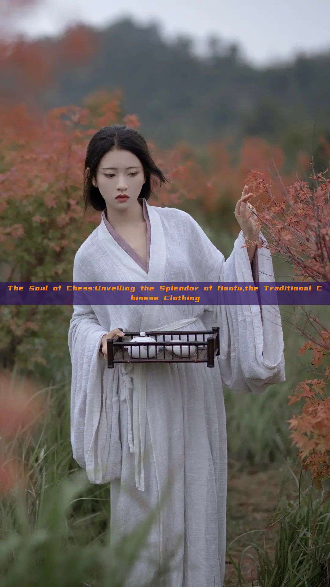 The Soul of Chess:Unveiling the Splendor of Hanfu,the Traditional Chinese Clothing The Soul of Chess:Unveiling the Splendor of Hanfu,the Traditional Chinese Clothing