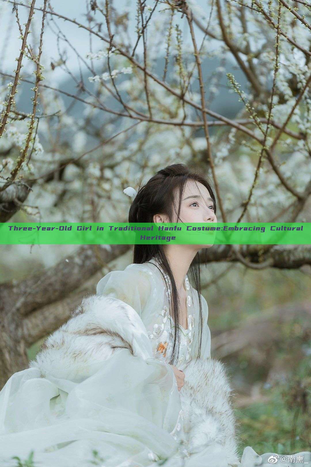 Three-Year-Old Girl in Traditional Hanfu Costume:Embracing Cultural Heritage