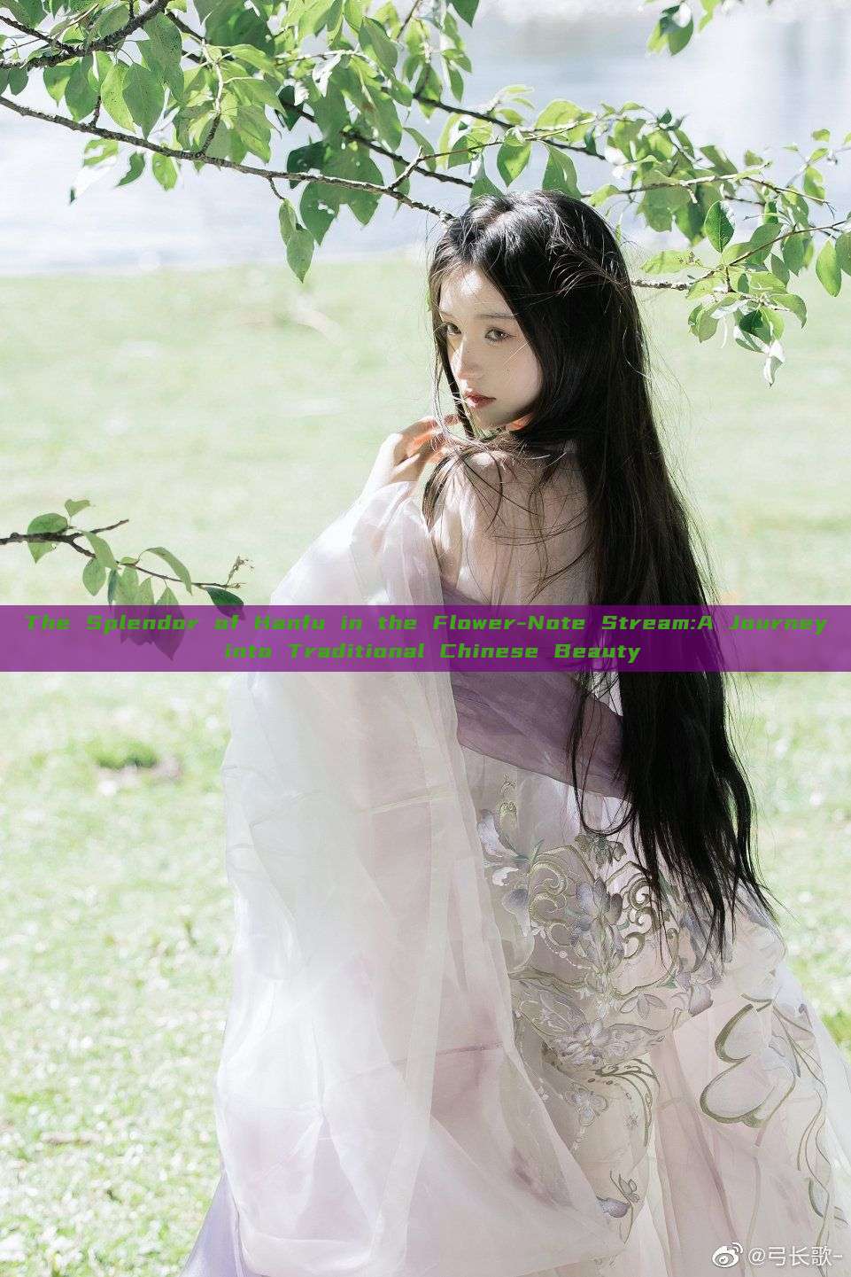 The Splendor of Hanfu in the Flower-Note Stream:A Journey into Traditional Chinese Beauty
