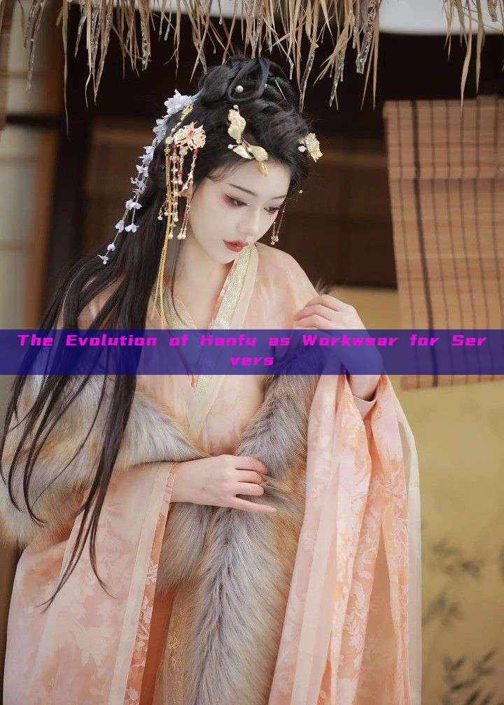 The Evolution of Hanfu as Workwear for Servers The Evolution of Hanfu as Workwear for Servers