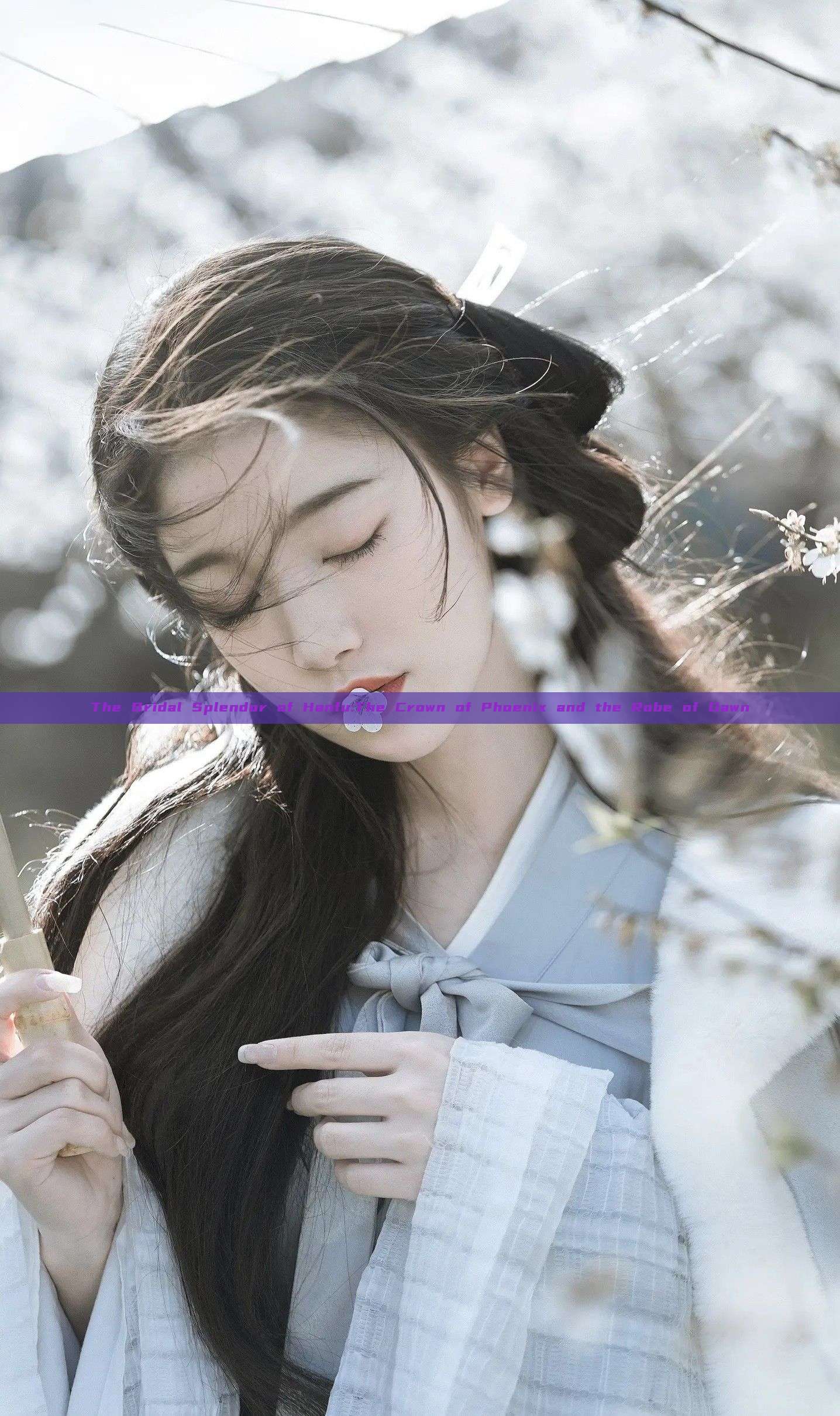 The Bridal Splendor of Hanfu:The Crown of Phoenix and the Robe of Dawn