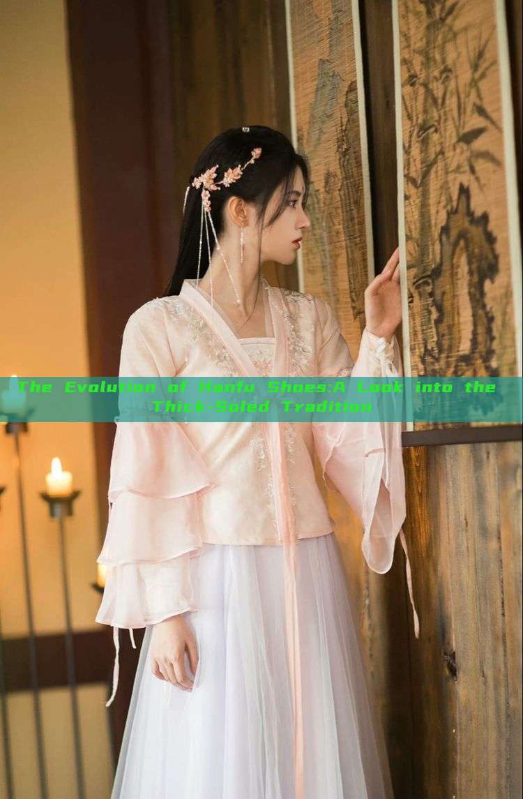 The Evolution of Hanfu Shoes:A Look into the Thick-Soled Tradition The Evolution of Hanfu Shoes:A Look into the Thick-Soled Tradition