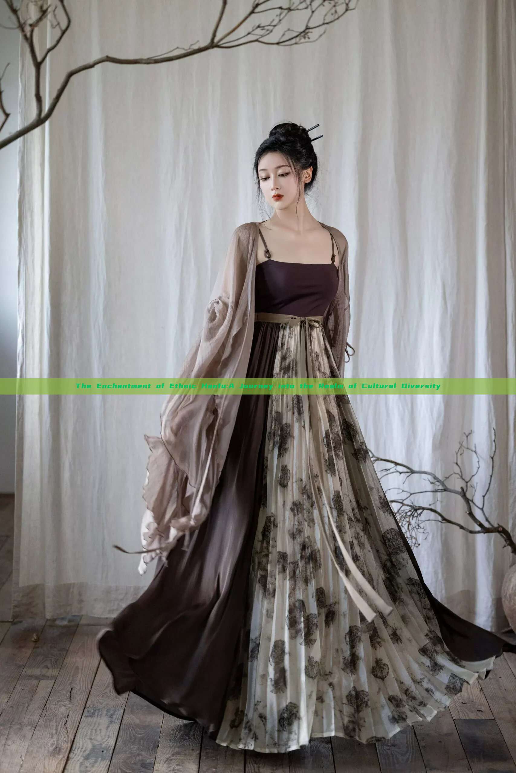 The Enchantment of Ethnic Hanfu:A Journey into the Realm of Cultural Diversity The Enchantment of Ethnic Hanfu:A Journey into the Realm of Cultural Diversity