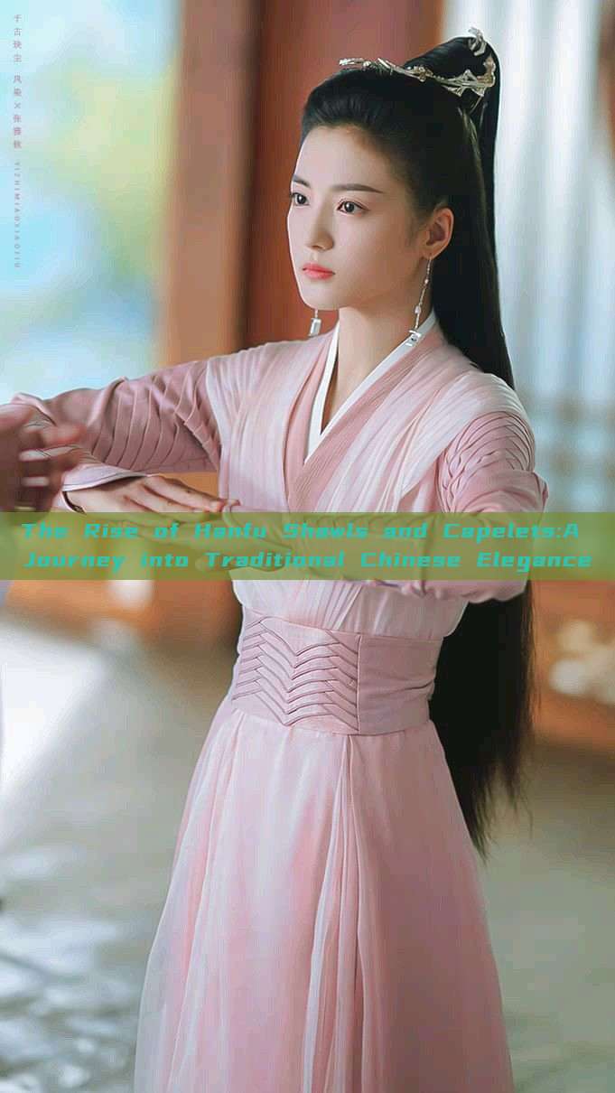 The Rise of Hanfu Shawls and Capelets:A Journey into Traditional Chinese Elegance
