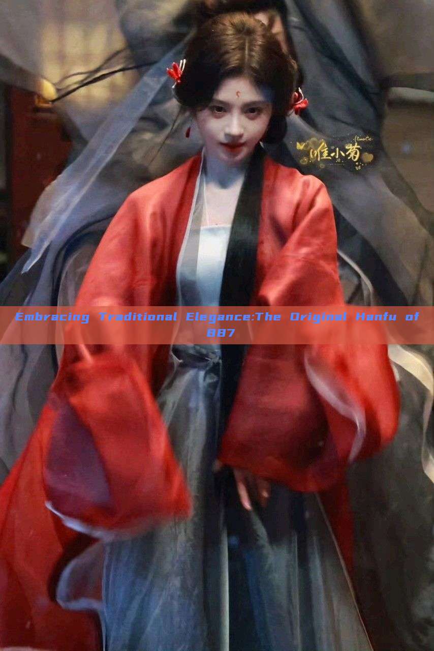 Embracing Traditional Elegance:The Original Hanfu of 887
