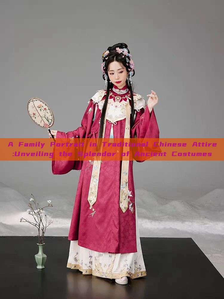 A Family Portrait in Traditional Chinese Attire:Unveiling the Splendor of Ancient Costumes A Family Portrait in Traditional Chinese Attire:Unveiling the Splendor of Ancient Costumes