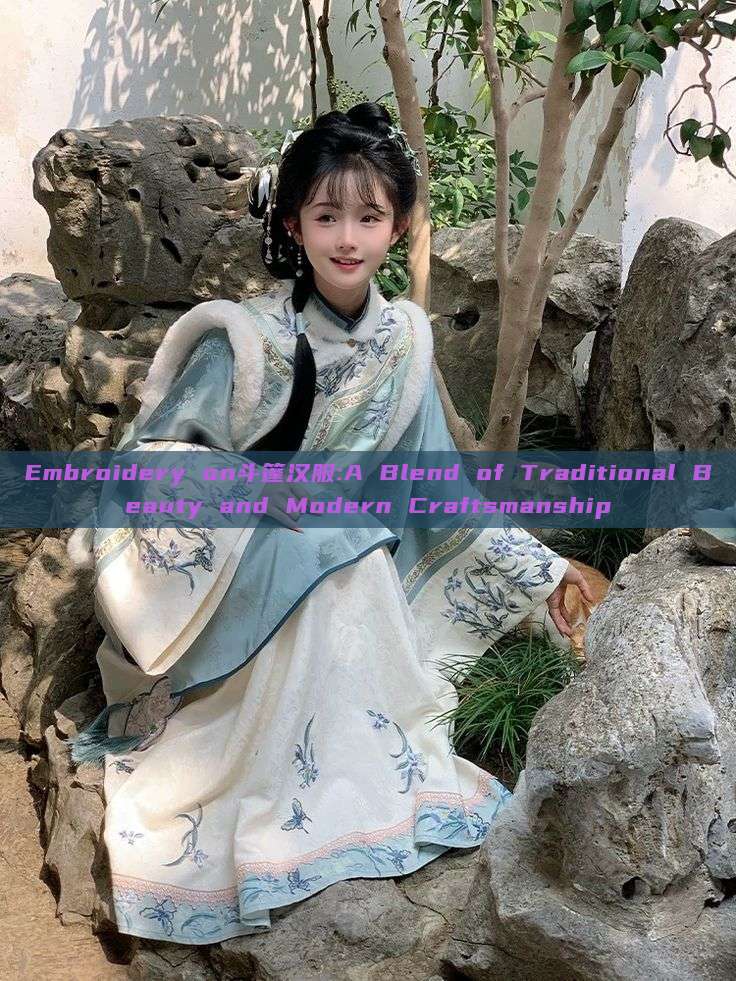 Embroidery on斗篷汉服:A Blend of Traditional Beauty and Modern Craftsmanship